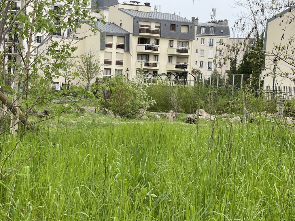 NOUVEAU – PAVILLON À PUTEAUX (92800)