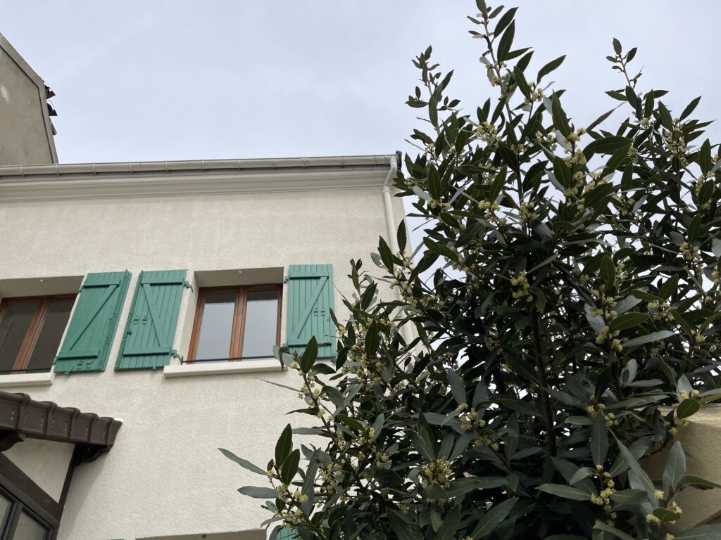 NOUVEAU – PAVILLON À PUTEAUX (92800)