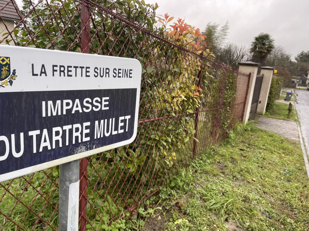 TERRAIN A LA FRETTE-SUR-SEINE