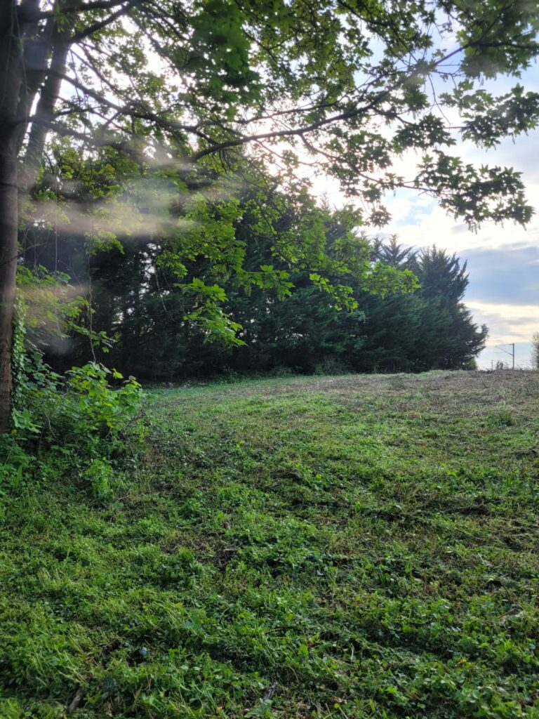 TERRAIN A LA FRETTE-SUR-SEINE
