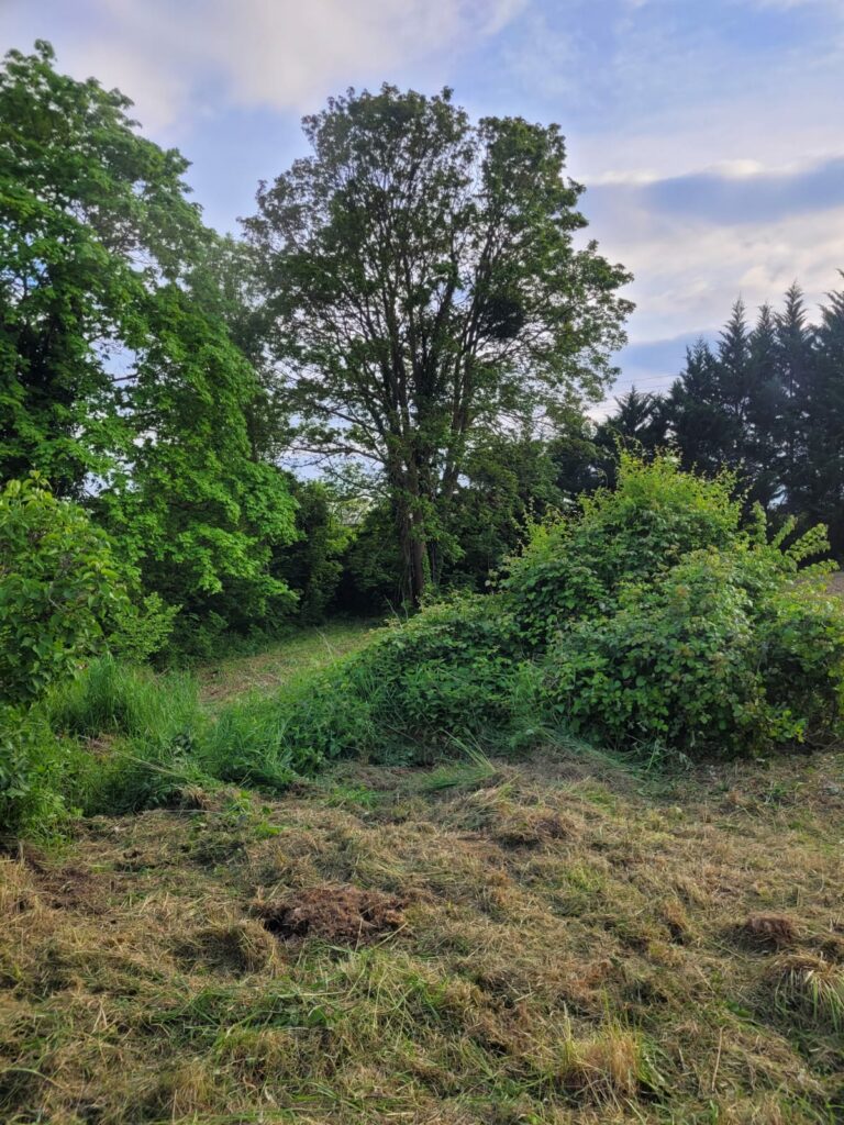 TERRAIN A LA FRETTE-SUR-SEINE