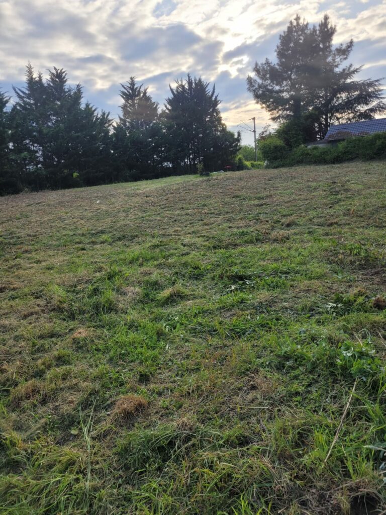 TERRAIN A LA FRETTE-SUR-SEINE