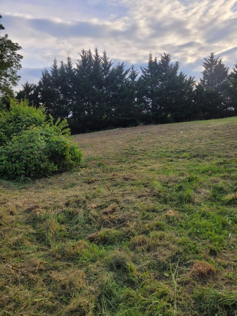 TERRAIN A LA FRETTE-SUR-SEINE