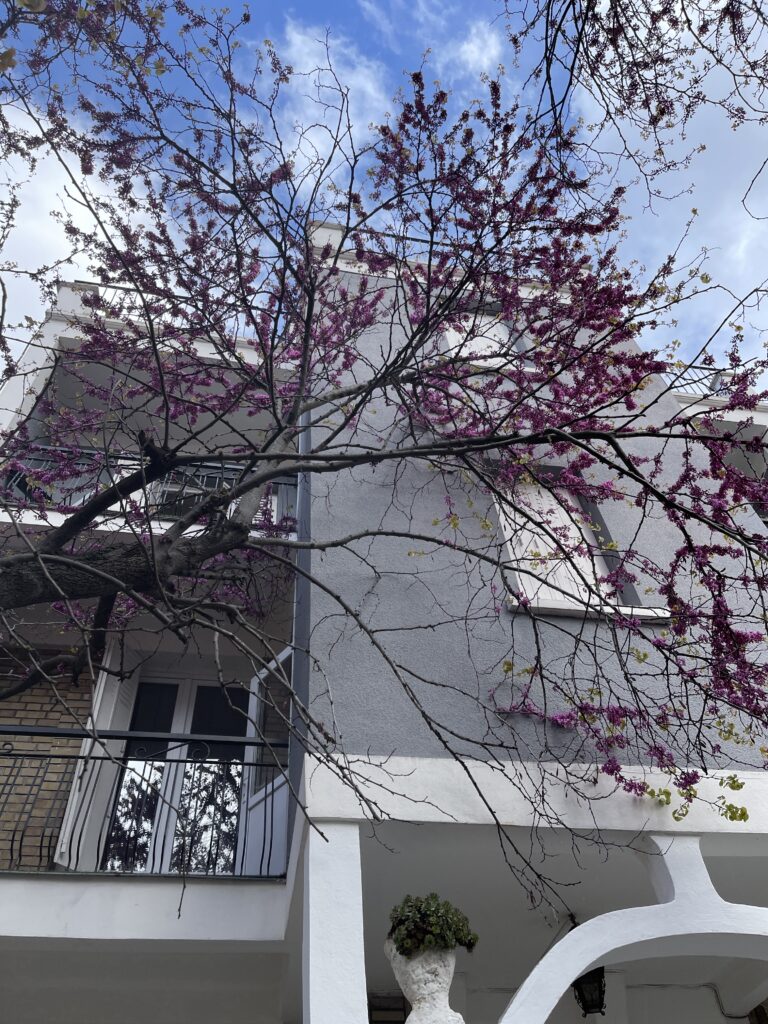 IMMEUBLE NANTERRE RUE DE SURESNES