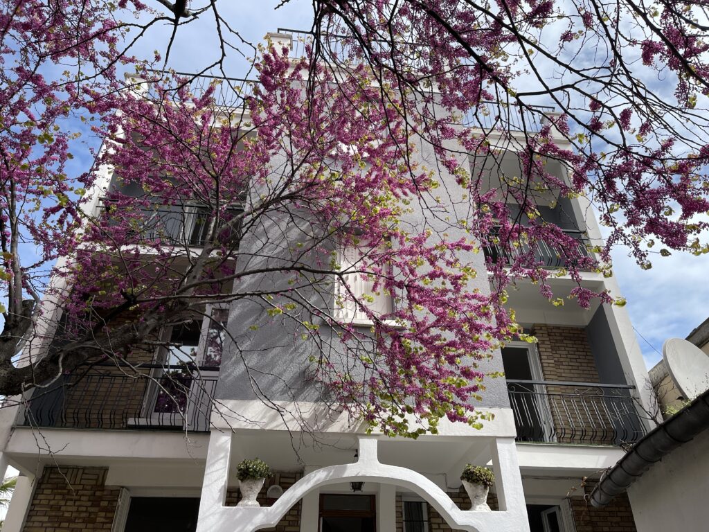 IMMEUBLE NANTERRE RUE DE SURESNES