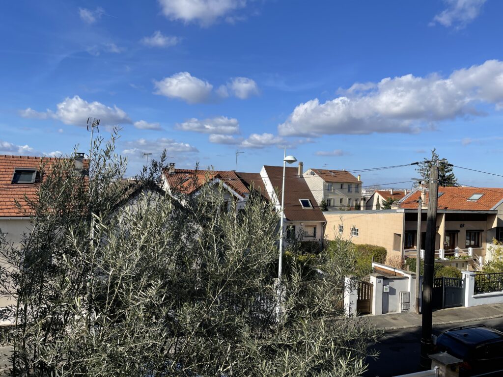 RUE DES LOUVETIERS