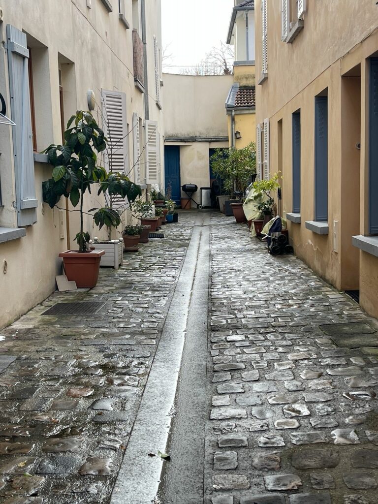 Le petit Venise de Nanterre