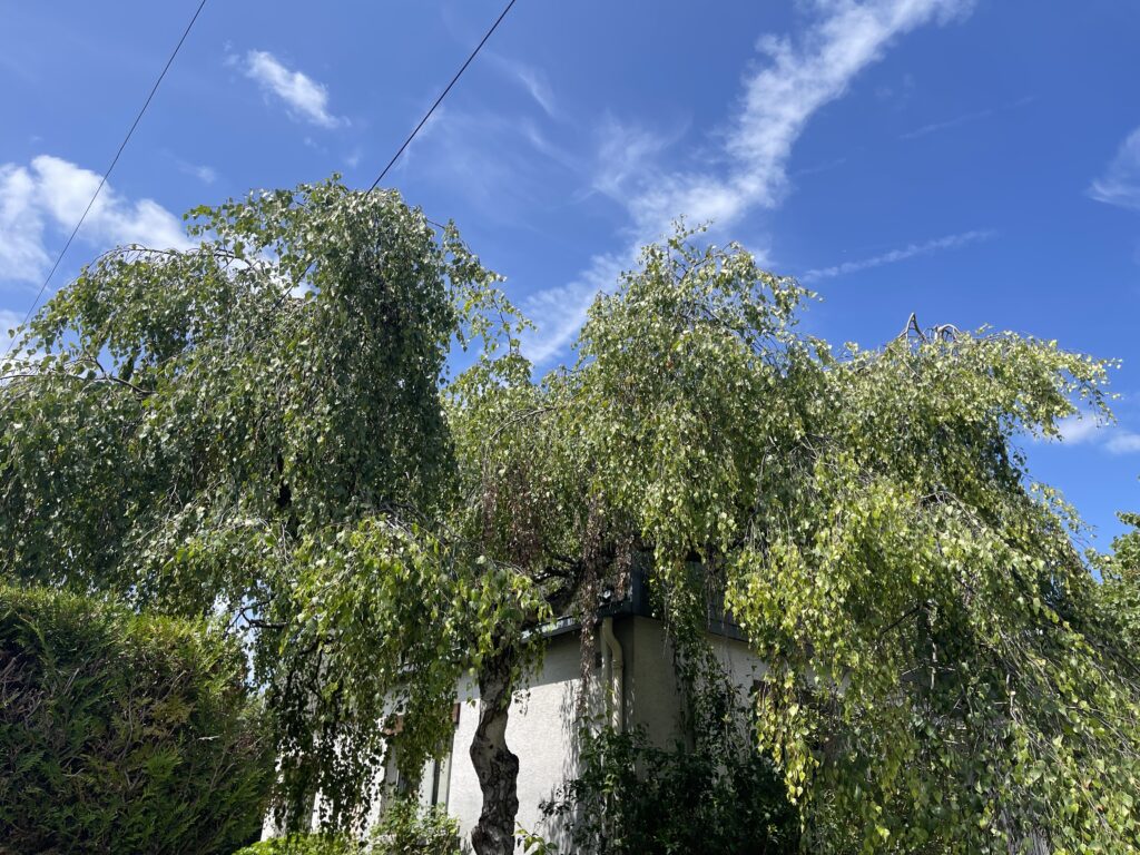 Maison Atypique Coup De Coeur Houille