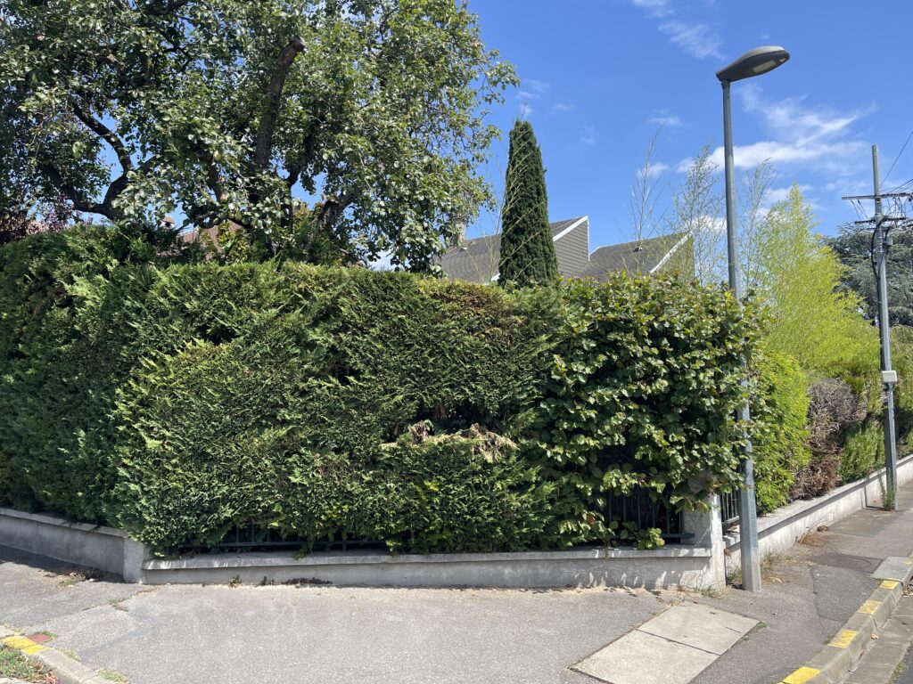 Maison Atypique Coup De Coeur Houille